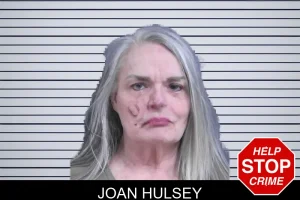 Joan Hulsey mugshot