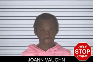 Joann Vaughn mugshot