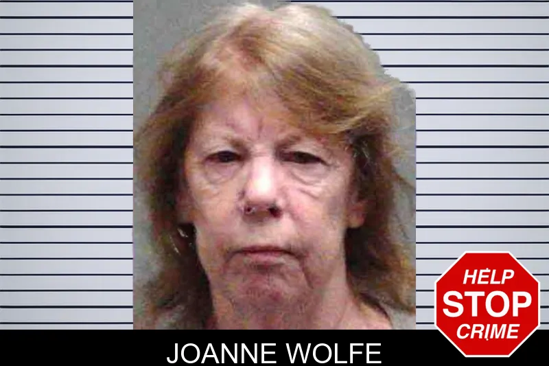 Joanne Wolfe mugshot
