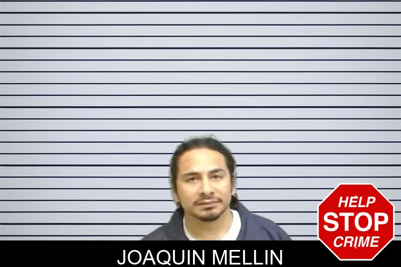 Joaquin Mellin mugshot – Fulton County , Georgia Joaquin Mellin mugshot
