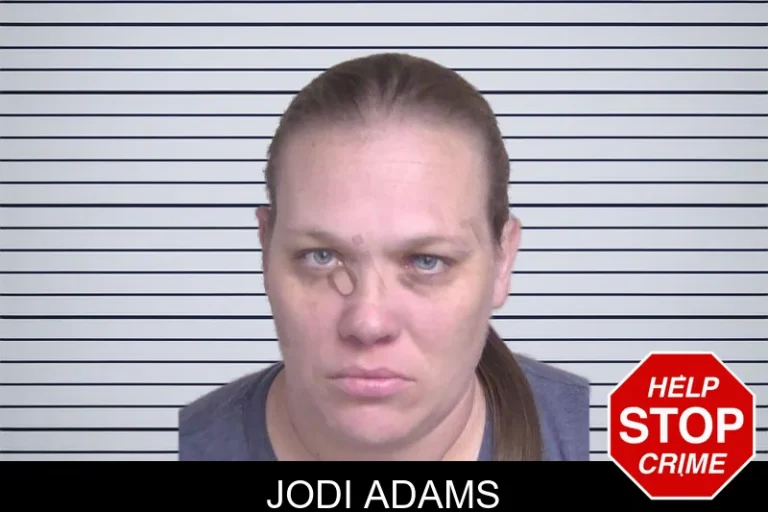 Jodi Adams