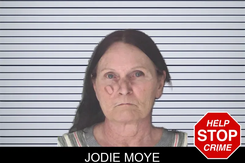 Jodie Moye mugshot