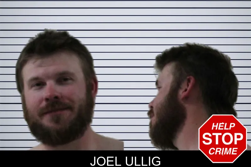 Joel Ullig mugshot
