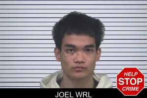 Joel Wrl mugshot