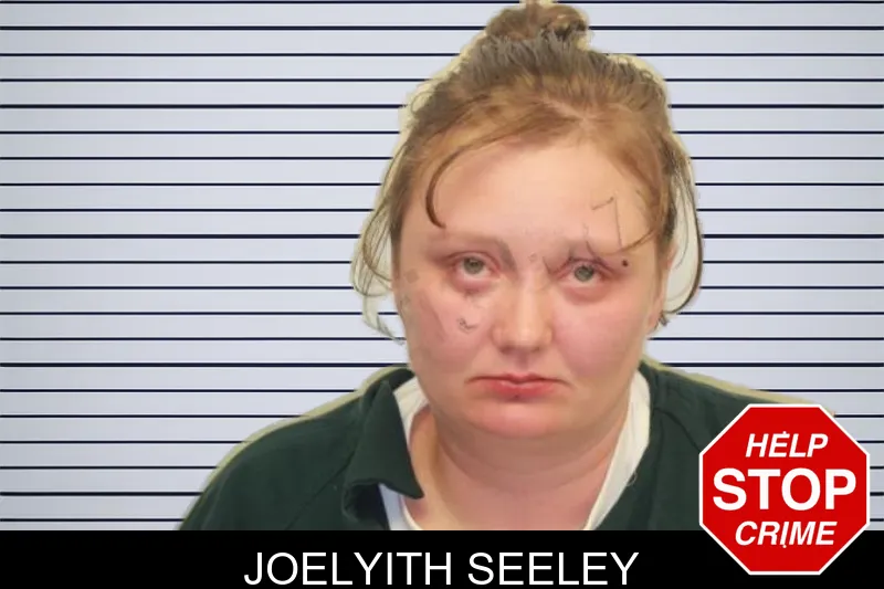 Joelyith Seeley mugshot – Chatham County , Georgia Joelyith Seeley mugshot