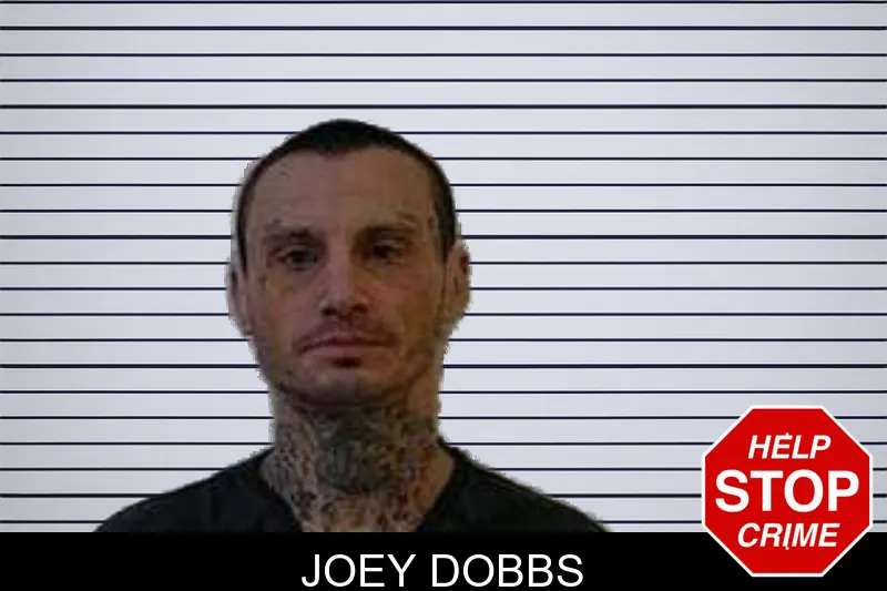 Joey Dobbs mugshot