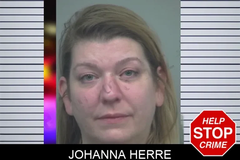 Johanna Herre
