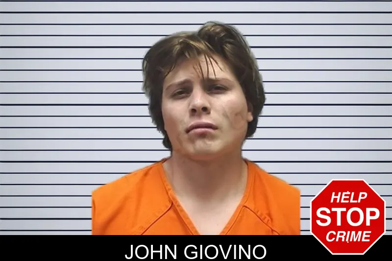 John Giovino mugshot
