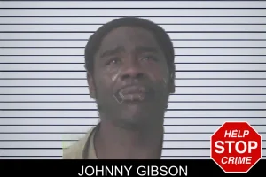 Johnny Gibson mugshot