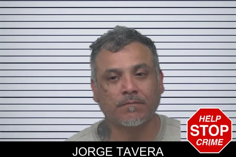 Jorge Tavera