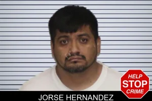 Jorse Hernandez mugshot