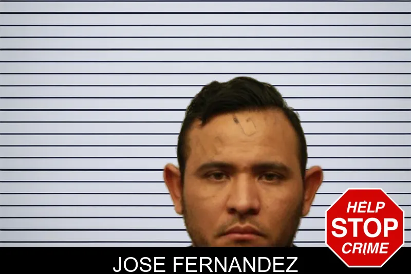 Jose Fernandez mugshot
