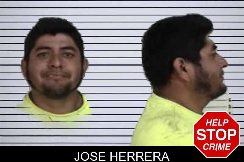 Jose Herrera mugshot