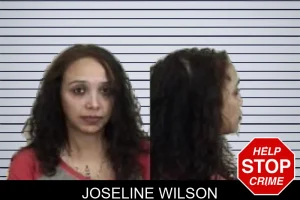 Joseline Wilson mugshot