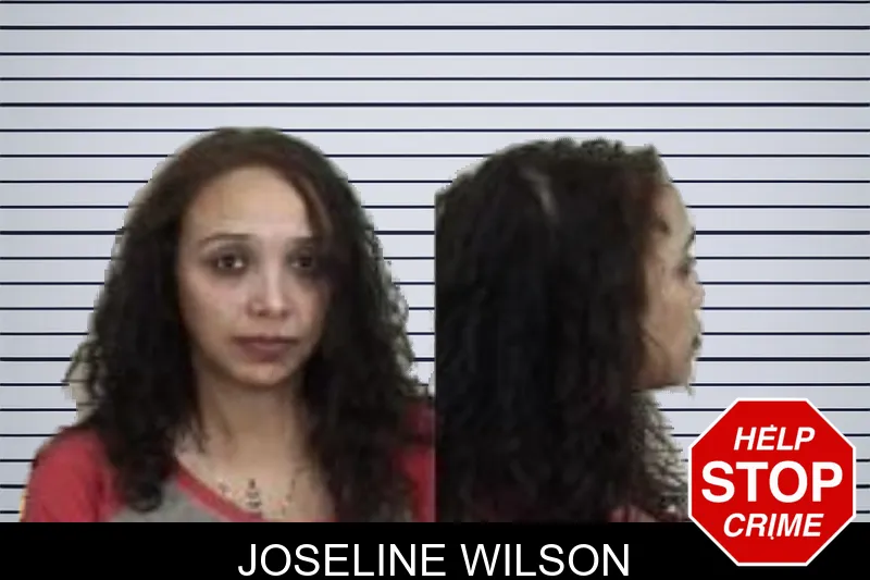 Joseline Wilson mugshot