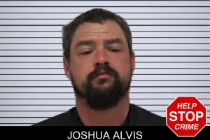 Joshua Alvis mugshot
