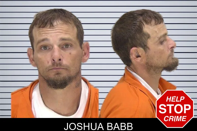 Joshua Babb mugshot