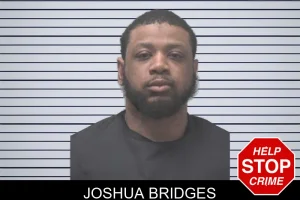 Joshua Bridges mugshot