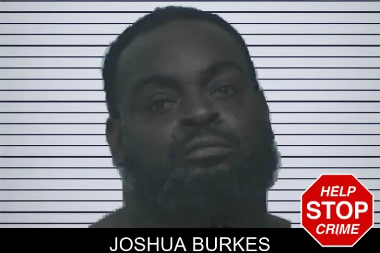 Joshua Burkes mugshot – Lanier County , Georgia Joshua Burkes