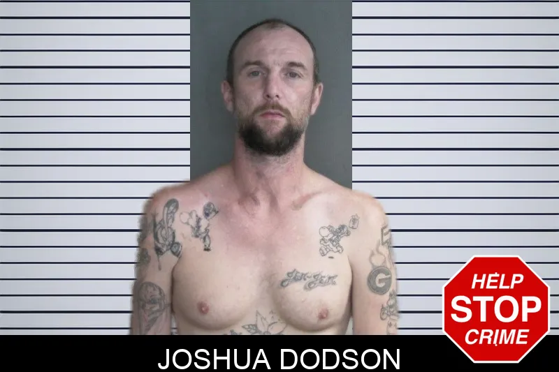 Joshua Dodson mugshot – Twiggs County , Georgia Joshua Dodson mugshot