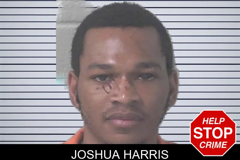 Joshua Harris mugshot