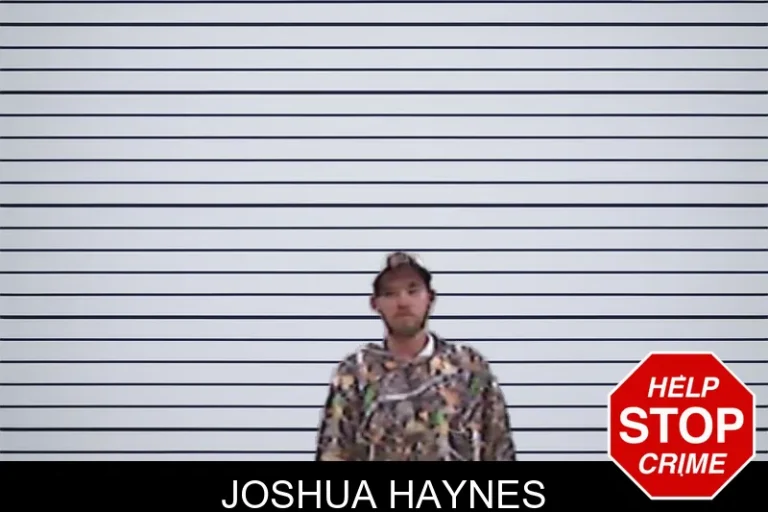 Joshua Haynes