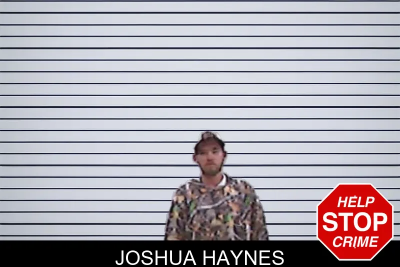 Joshua Haynes mugshot – Screven County , Georgia Joshua Haynes mugshot