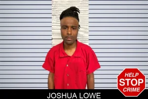 Joshua Lowe mugshot