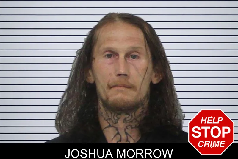 Joshua Morrow mugshot