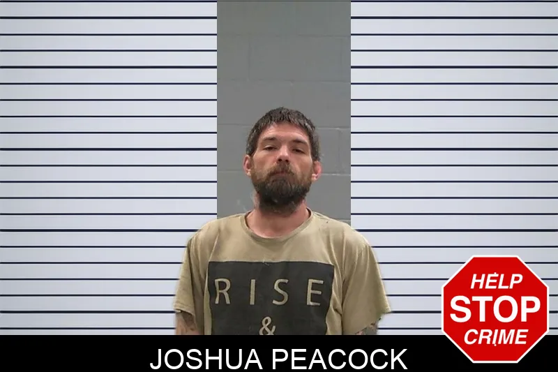 Joshua Peacock mugshot