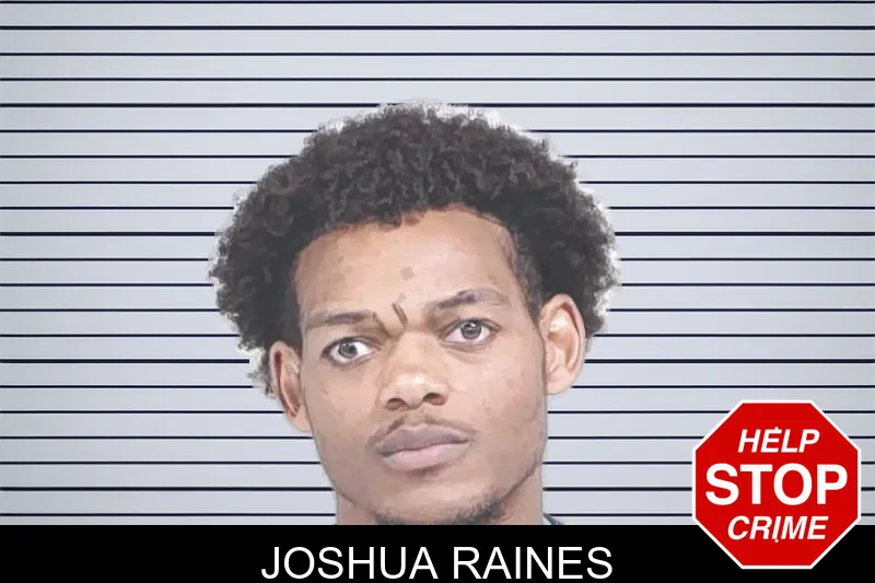 Joshua Raines mugshot