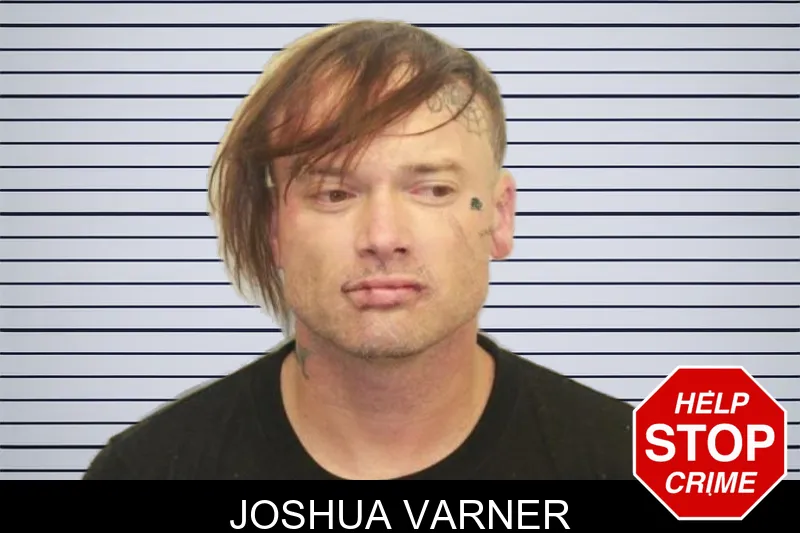 Joshua Varner mugshot – Chatham County , Georgia Joshua Varner mugshot