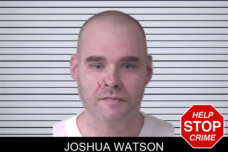 Joshua Watson mugshot