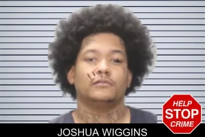 Joshua Wiggins mugshot