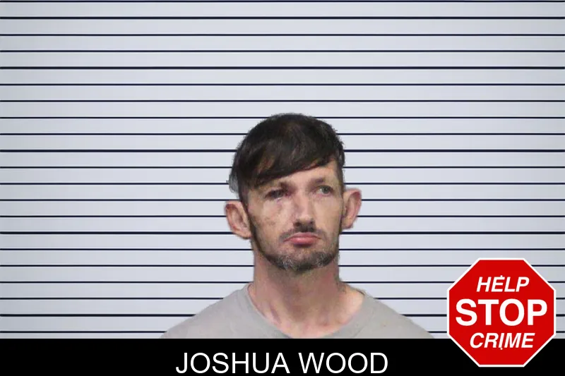 Joshua Wood mugshot – White County , Georgia Joshua Wood mugshot