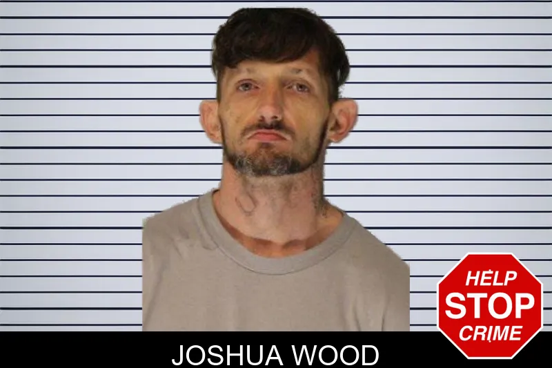 Joshua Wood mugshot