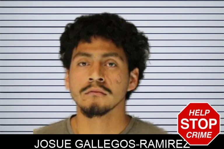 Josue Gallegos-Ramirez