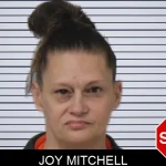 Joy Mitchell mugshot – Mcintosh County , Georgia Joy Mitchell mugshot
