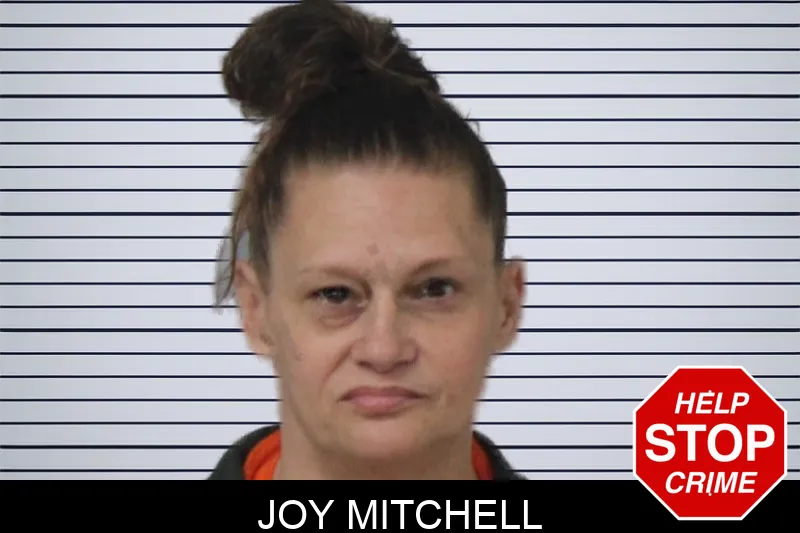 Joy Mitchell mugshot – Mcintosh County , Georgia Joy Mitchell mugshot
