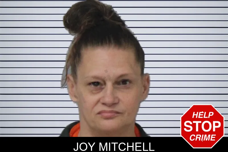 Joy Mitchell mugshot