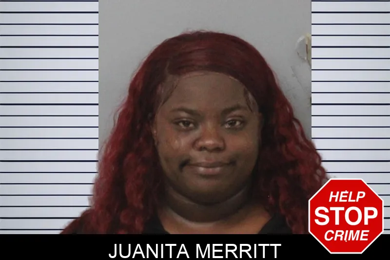 Juanita Merritt mugshot – Mcintosh County , Georgia Juanita Merritt mugshot
