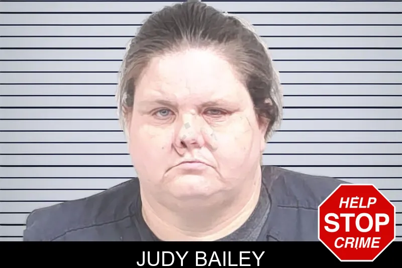 Judy Bailey mugshot – Lowndes County , Georgia Judy Bailey mugshot