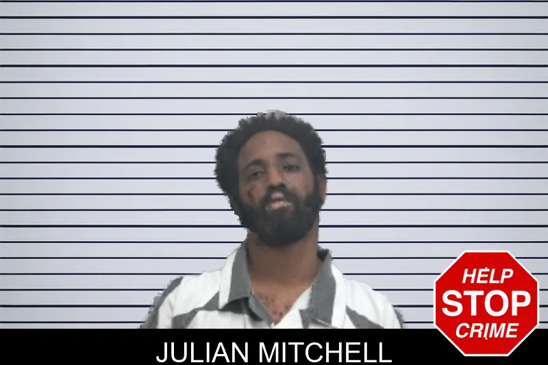 Julian Mitchell mugshot – Dougherty County , Georgia Julian Mitchell mugshot