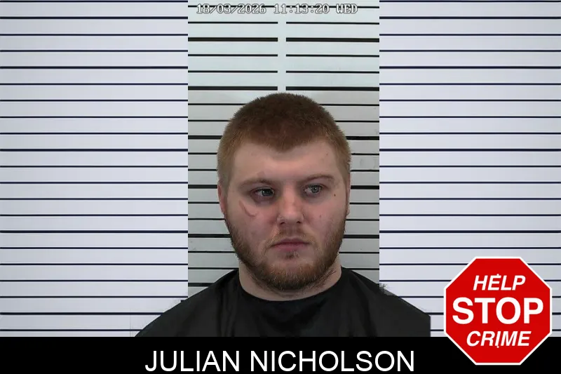 Julian Nicholson mugshot – Hart County , Georgia Julian Nicholson mugshot