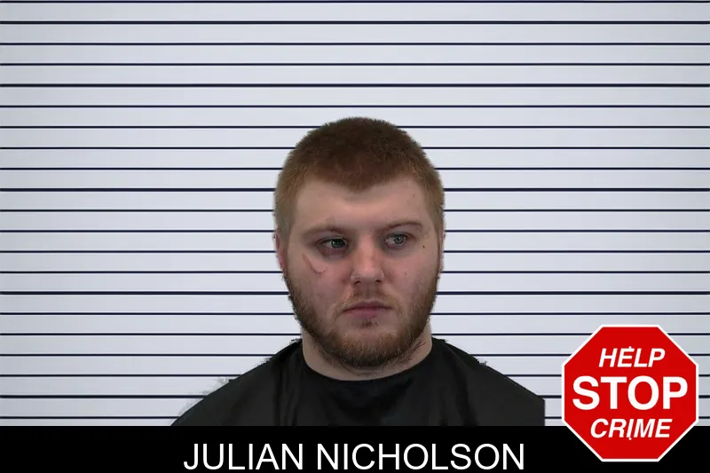 Julian Nicholson mugshot