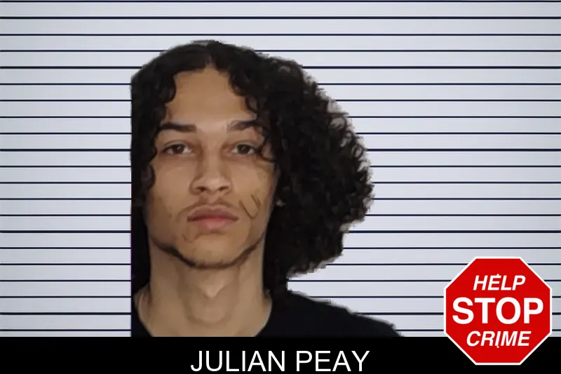 Julian Peay mugshot