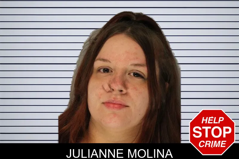 Julianne Molina mugshot