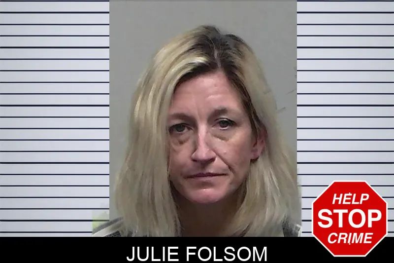 Julie Folsom mugshot