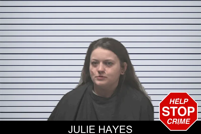 Julie Hayes mugshot