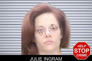 Julie Ingram mugshot